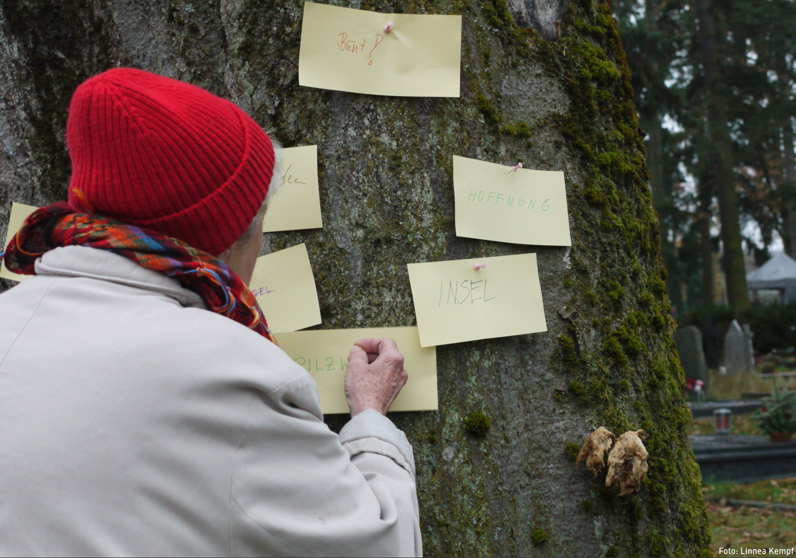 Auftaktveranstaltung: „Lebensinsel – Sinnesgarten“ auf dem Neuen Friedhof Offenbach